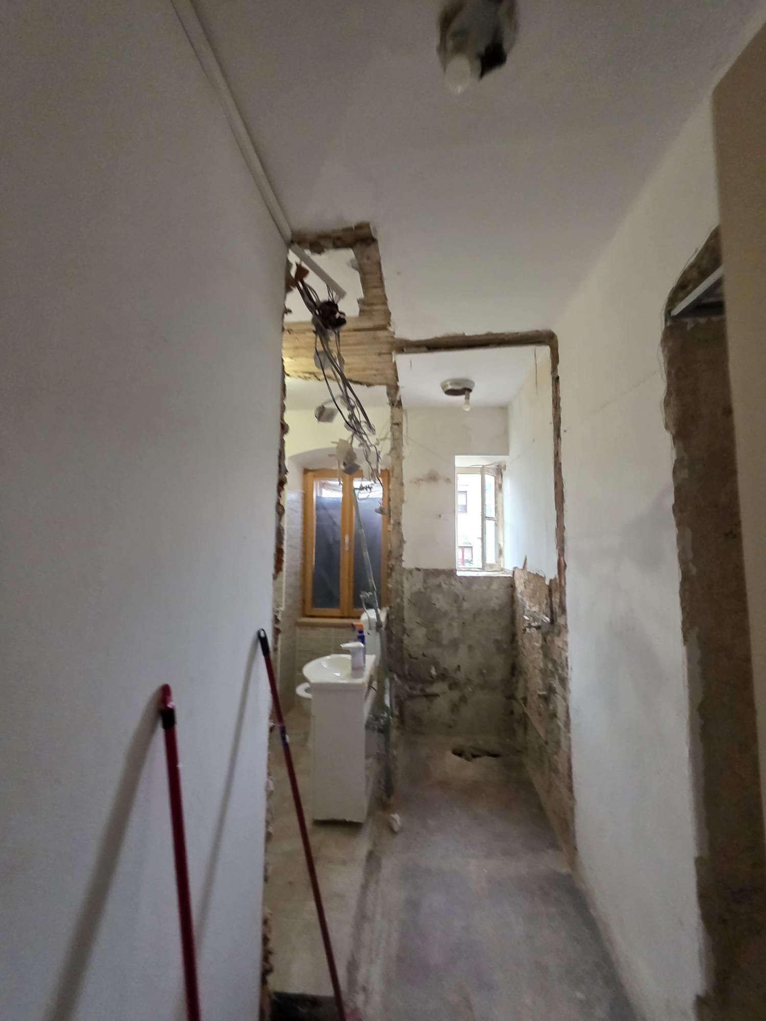 Rušenje i priprema za adaptaciju